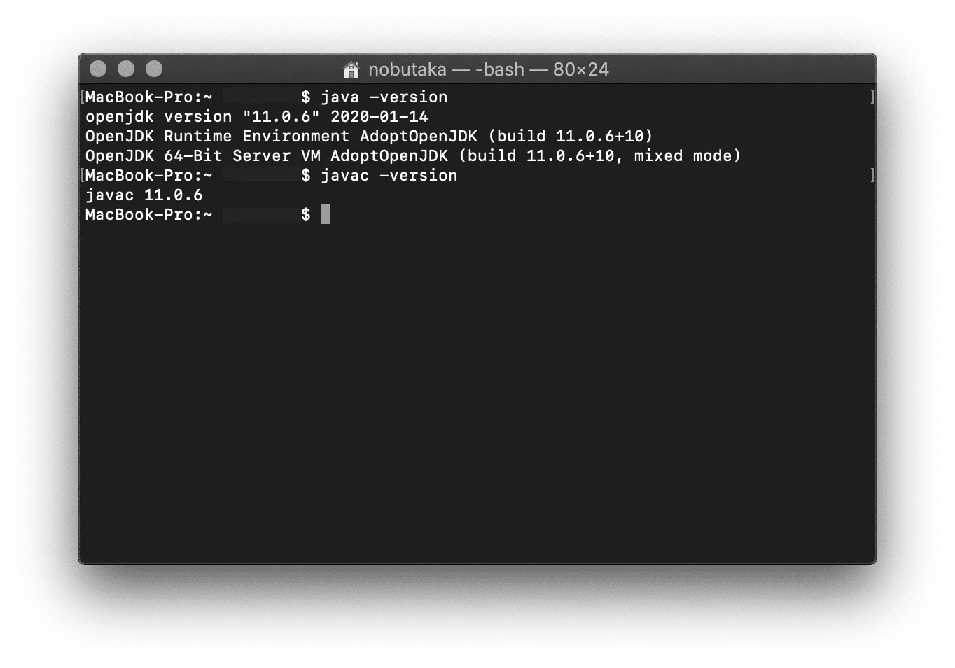 AdoptOpenJDK09
