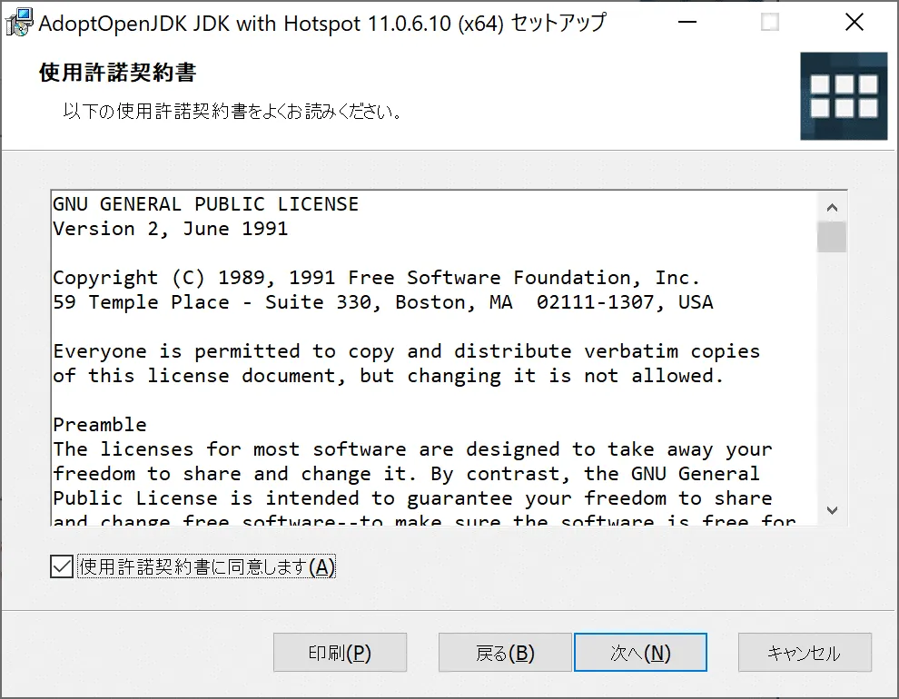AdoptOpenJDK_win06-1