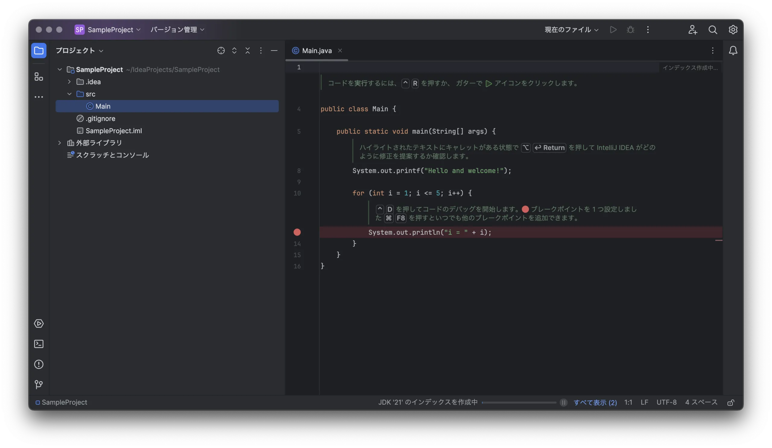 IntelliJ-IDEA_mac13