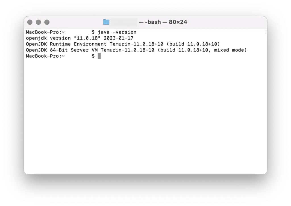 jdk11_mac12-1024x725