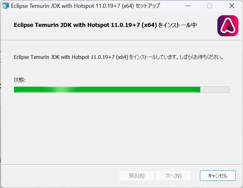 jdk11_win08