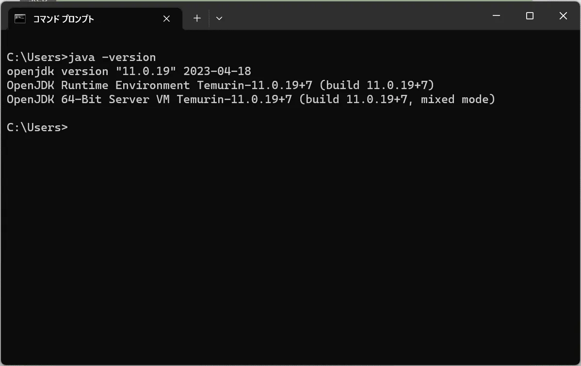jdk11_win10