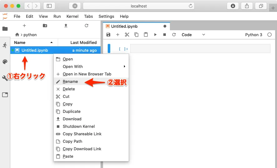 jupyter_rename-1